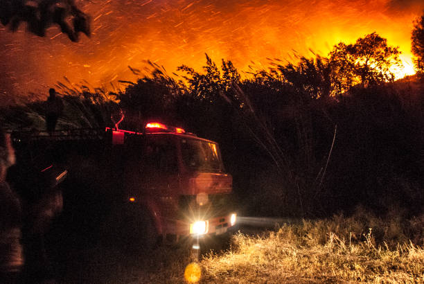 bombeiros florestais e bombeiros - arson black bright burning - fotografias e filmes do acervo