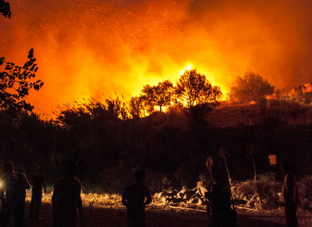 vigili del fuoco boschivi - arson black bright burning foto e immagini stock