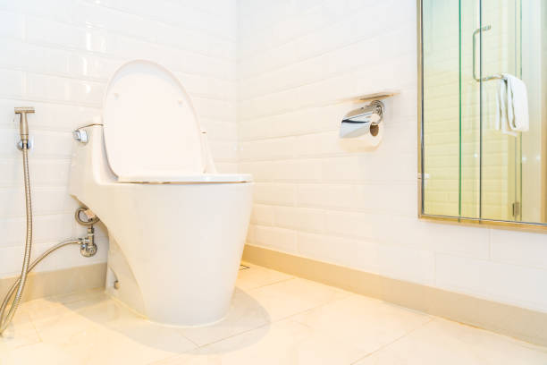 istock White toilet bowl seat 1175387775