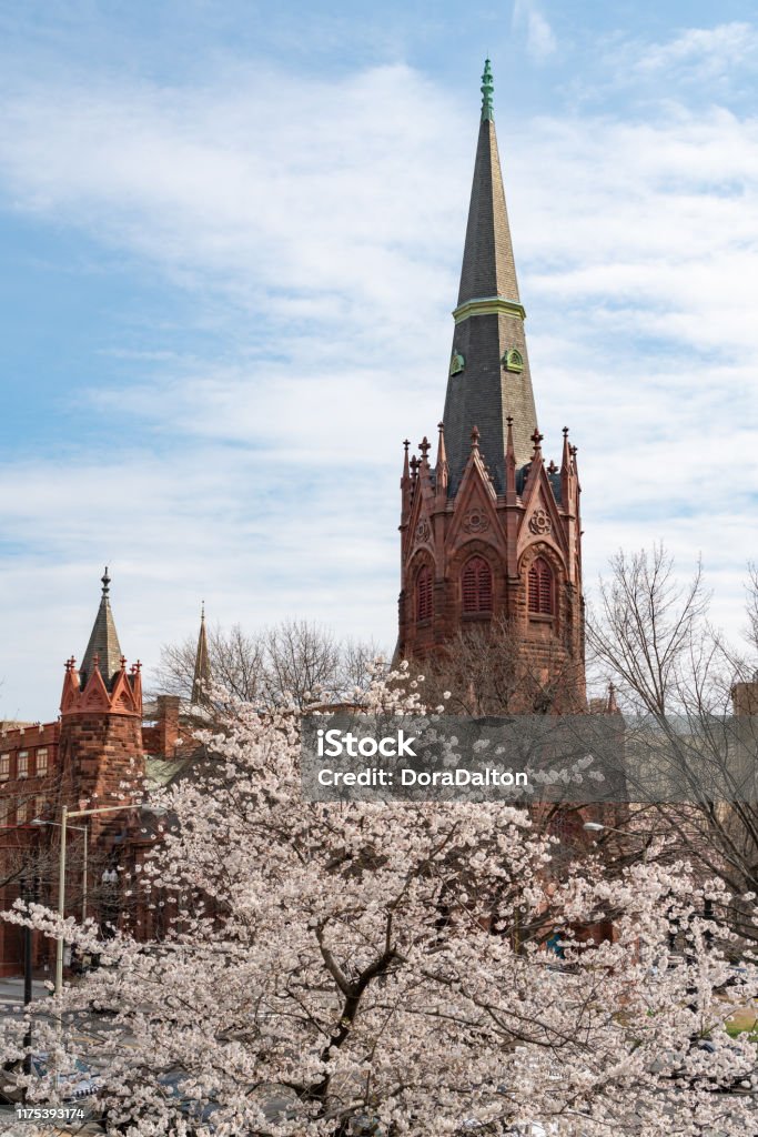 During National Cherry Blossom Festival, Flowers in the Moongate Garden and Smithsonian Castle of Washington DC, USA Washington DC, USA. Smithsonian Institution Stock Photo