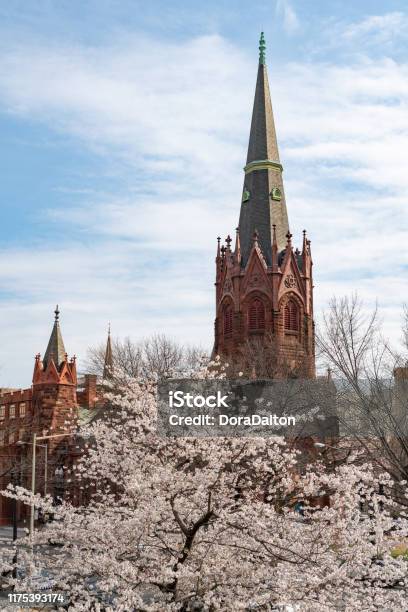 During National Cherry Blossom Festival Flowers In The Moongate Garden And Smithsonian Castle Of Washington Dc Usa Stock Photo - Download Image Now