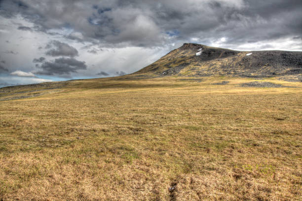 istock Arctic tundra at Yukon - Northwest Territory border. 1175393175
