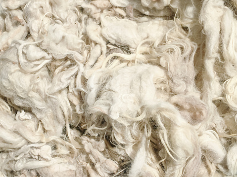 Close up shot of Raw silk cocoons texture