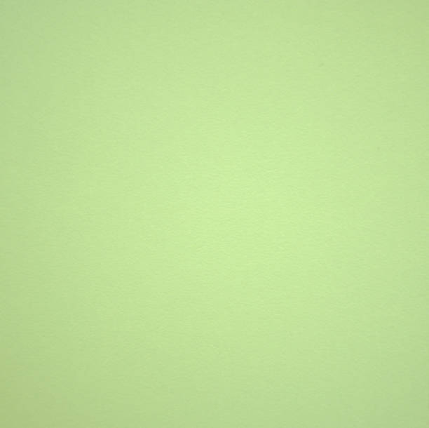 istock Light green monochrome background shot in gradient closeup. 1175402765