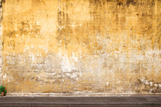 istock Old gold paint on concrete wall with decayed patterns texture  , green plant growing and pavement for background , copy space 1175403408