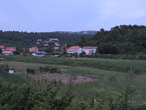 istock Island landscape with houses 1175405578