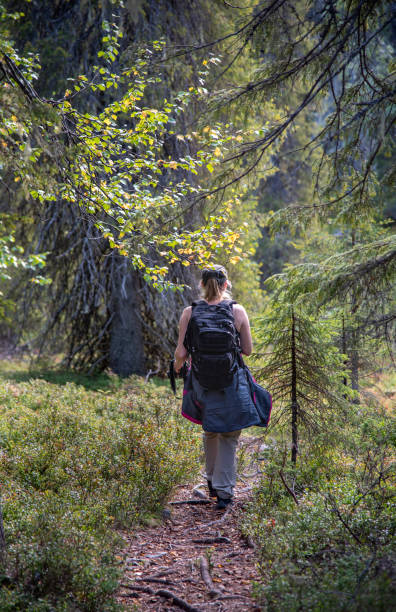 istock Woman hiking in forest path 1175408974