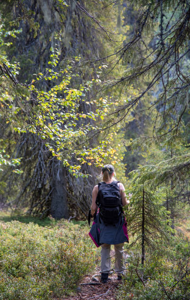 istock Woman hiking in forest path 1175408982
