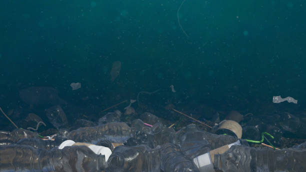 istock plastic pollution in ocean water, bottles and bags on the sea floor, micro plastic pollution 1175409100