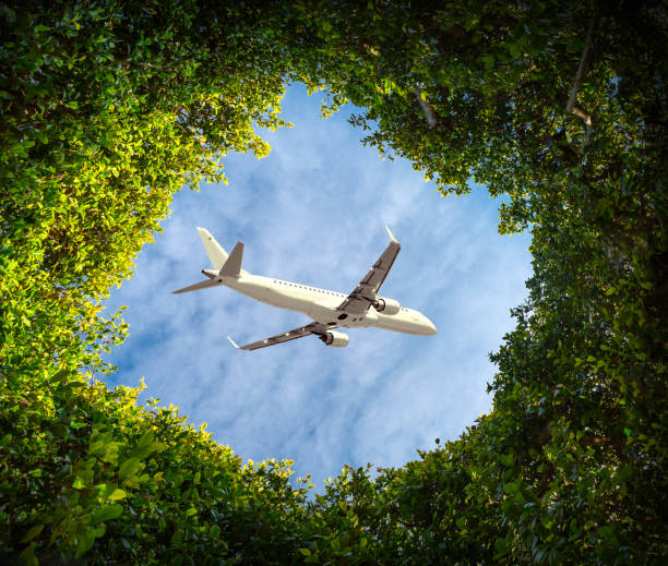 istock The plane flies in the sky 1175412971