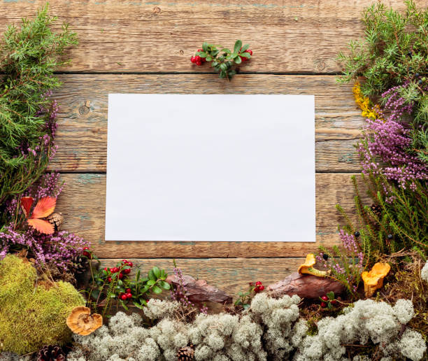 istock Old wooden background with different Northern plants and berries. 1175415446