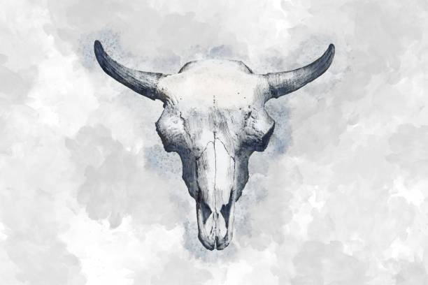istock Watercolor drawing of a bull's head on a light background 1175416225