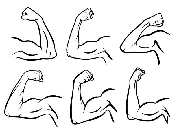 potężny mięsień ręki. silne mięśnie ramion, twarde bicepsy i siły rąk zarys ilustracji wektorowych - flexing muscles bicep men human arm stock illustrations
