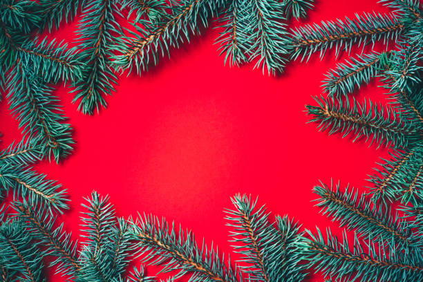istock Fir branches on red background. Christmas wallpaper. 1175416830