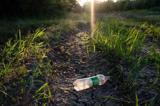 istock Empty old plastic bottle on the cracked dry ground 1175419334