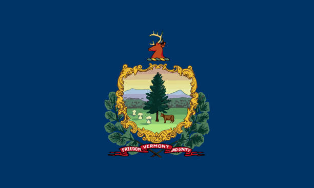 vermont state of america flag, obraz wektorowy - vermont stock illustrations