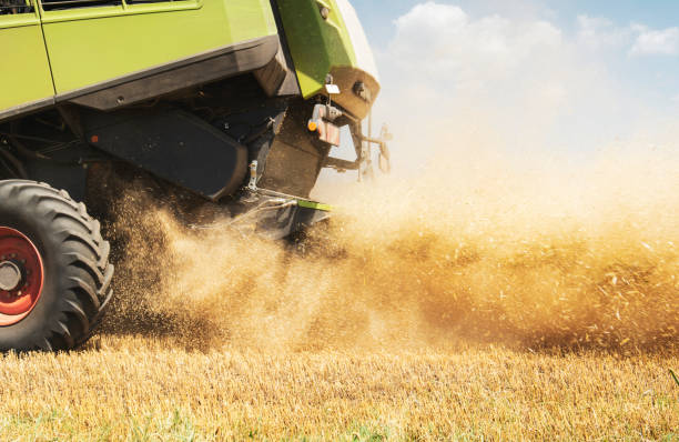 Side view of combine harvester, part of combine and harvesting process on the field.