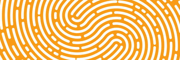 ilustrações de stock, clip art, desenhos animados e ícones de fingerprint background, maze, white print - track vector individuality thumbprint