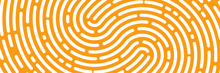 fingerprint background, maze, white print, wide banner police. Vector illustration