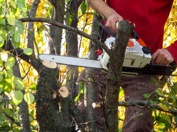 istock Beautiful  background of the work with chainsaw, close-up, with copy space 1175426140