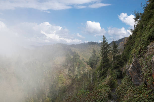 o parque nacional das grandes montanhas fumarentos visto da trilha de appalachian - panoramic tennessee georgia usa - fotografias e filmes do acervo