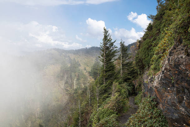 o parque nacional das grandes montanhas fumarentos visto da trilha de appalachian - panoramic tennessee georgia usa - fotografias e filmes do acervo