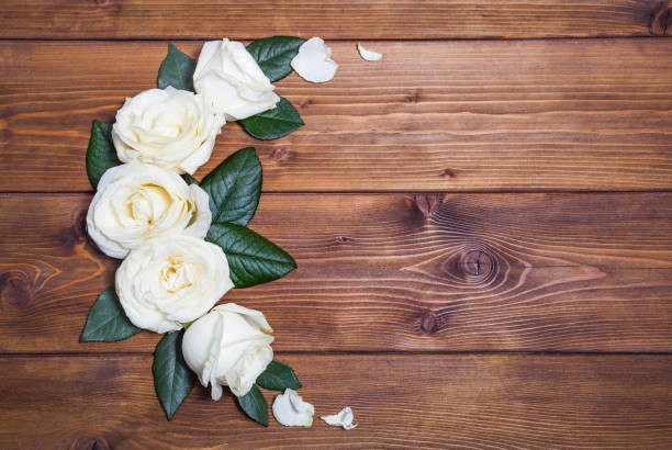 istock White roses on wooden background 1175433917