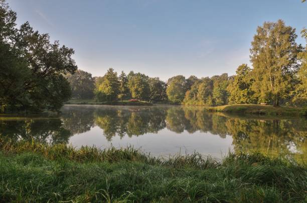 istock Beautiful morning summer landscape. 1175435313