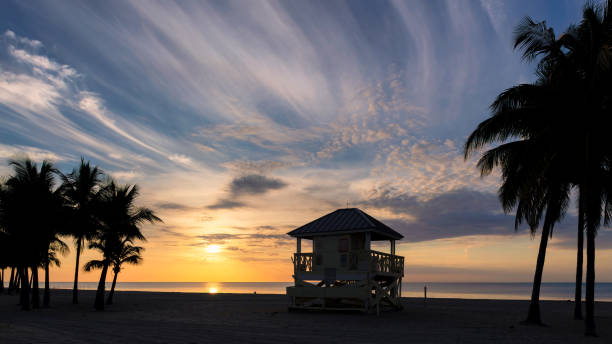 istock Palm trees at Sunrise by the ocean beach 1175436466