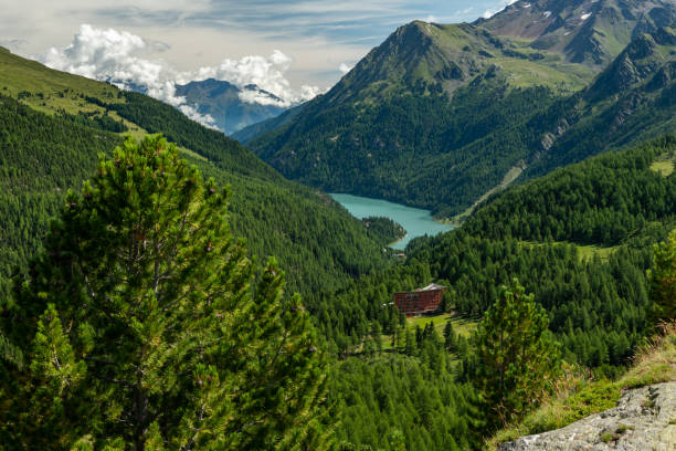istock Martell valley and lake Zufrittsee 1175436527
