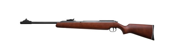 istock Pneumatic rifle isolated on white background 1175436552