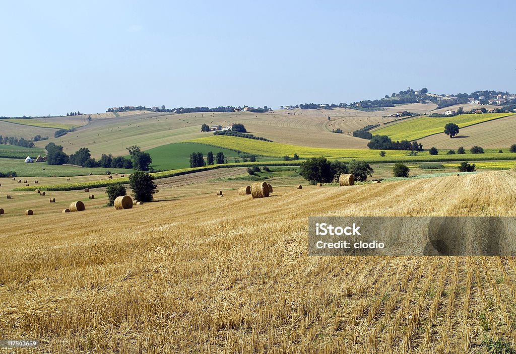 Marches (Itália)-Paisagem de Verão - Royalty-free Agricultura Foto de stock