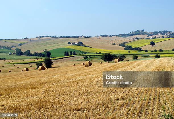 Marches Paisagem De Verão - Fotografias de stock e mais imagens de Agricultura - Agricultura, Ajardinado, Ancona