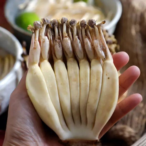 Close up prepare ingredients for vegan food  from banana flower, woman hand take young bananas, soaked in lemon water, this blossom can make many vegetarian dish, healthy eating with fiber