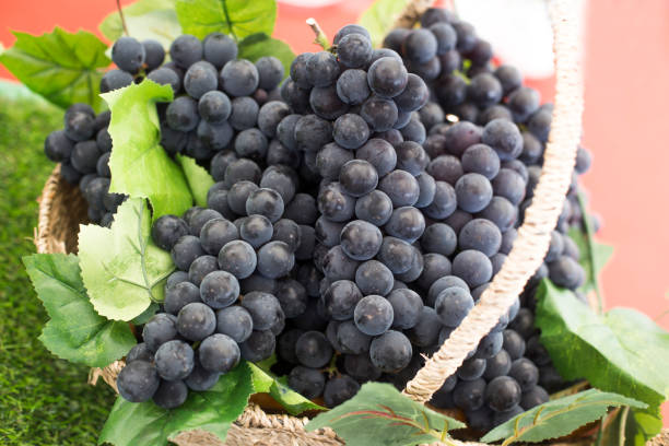 istock Basket full of fresh red grapes. 1175441910