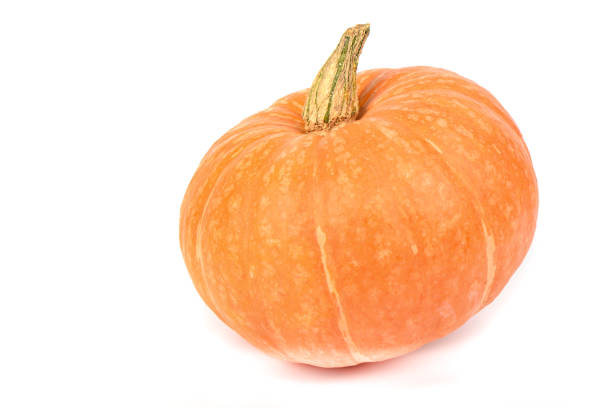 istock Nice ripe ornamental pumpkin isolated over white background 1175443307