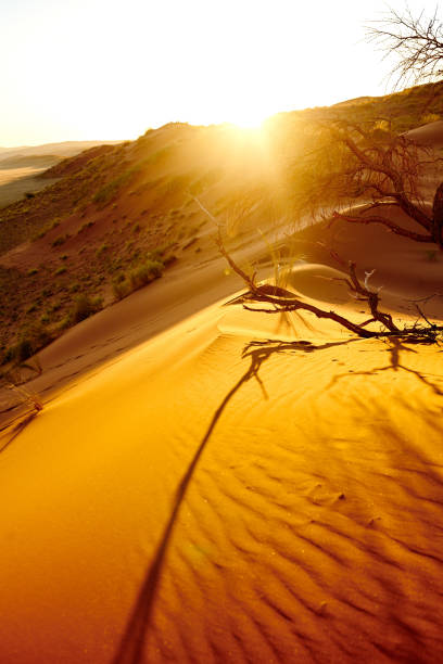 Shot of the Namibian desert