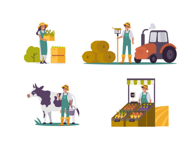 farmer Farmers and Agriculturists set. People Characters harvesting, milking Cow, collecting Hay and sell Products on Market. Woman and Man working on Farm. Organic Farming concept. Flat Vector Illustration. farmer stock illustrations
