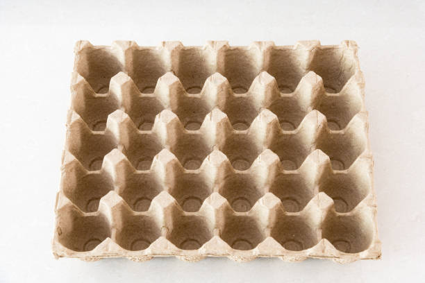 An empty cardboard top view laying eggs An empty cardboard top view laying eggs single object paper box tray stock pictures, royalty-free photos & images