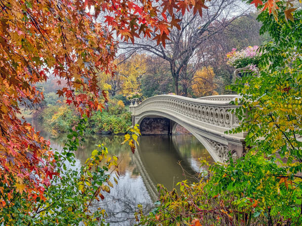 istock Bow bridge in late autumn 1175447920