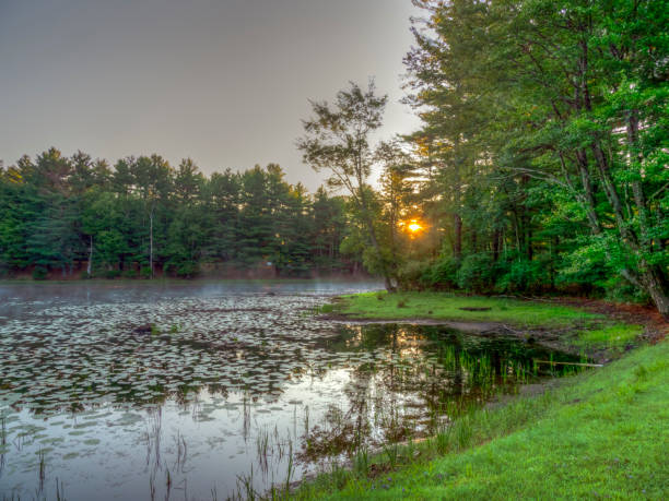 istock On small pond in Upstate New York 1175448029