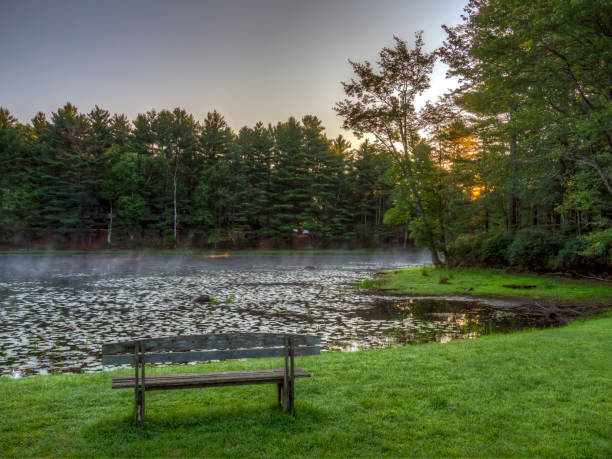 istock On small pond in Upstate New York 1175448080