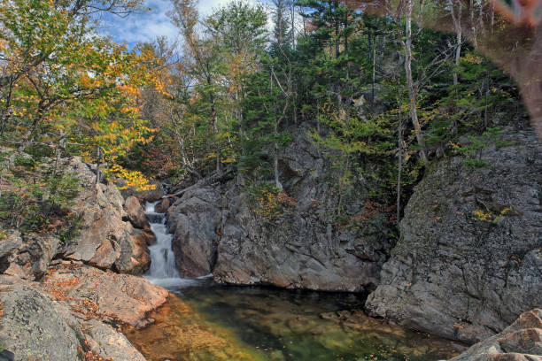 istock Autumn leaves in forest,Glen Ellis Falls Jackson NH 1175448197