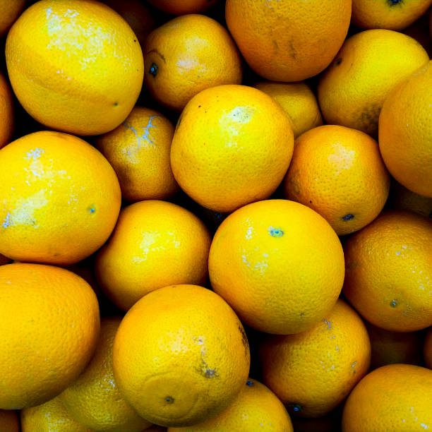 Background from oranges in the market. Ripe fruits on the counter. stock photo