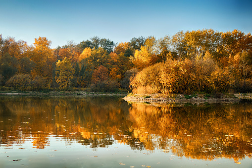 Beautiful autumn forest. Landscape with forest and lake