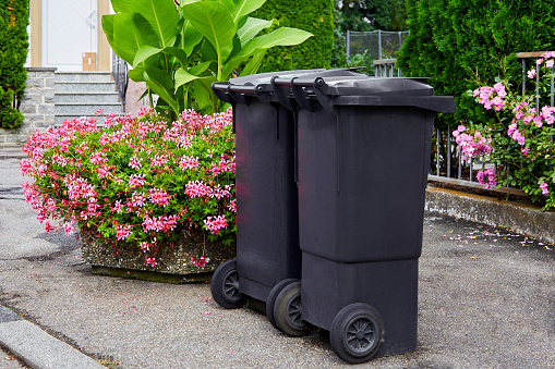 Two plastic garbage cans stand on clean asphalt against the background of flowering bushes on a sunny day. Symbol for garbage recycling, city cleanliness
