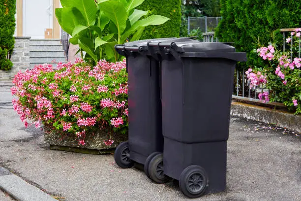 Photo of Two plastic garbage cans stand on clean asphalt against the background of flowering bushes on a sunny day. The concept of recycling garbage, city cleanliness