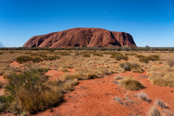 uluru - национальный парк ката-тьюта, австралия - uluru australia northern territory sunrise стоковые фото и изображения