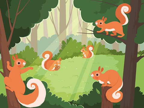 Squirrel in forest. Wild animals playing in trees vector cartoon background. Squirrel playing in green with acorn illustration