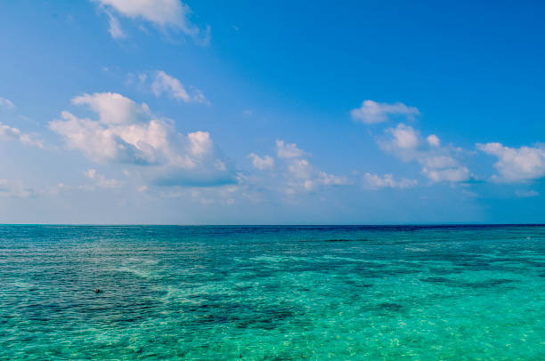 istock Ocean view during the day with some clouds in the distance 1175460554